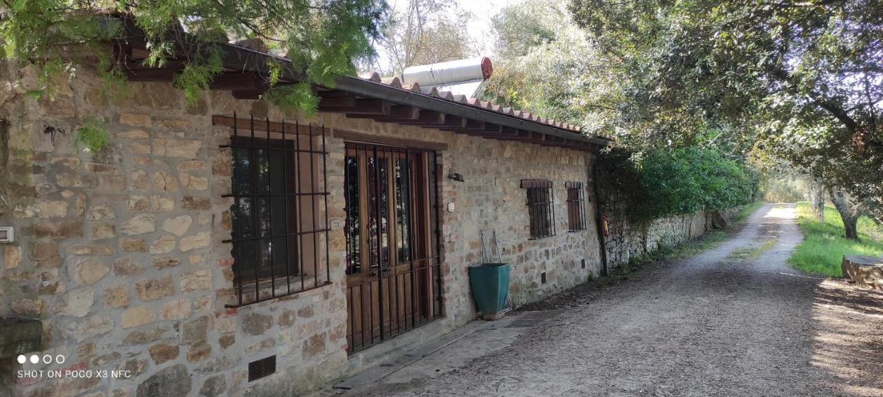 Fattoria Il Milione Agriturismo Florenţa Exterior foto