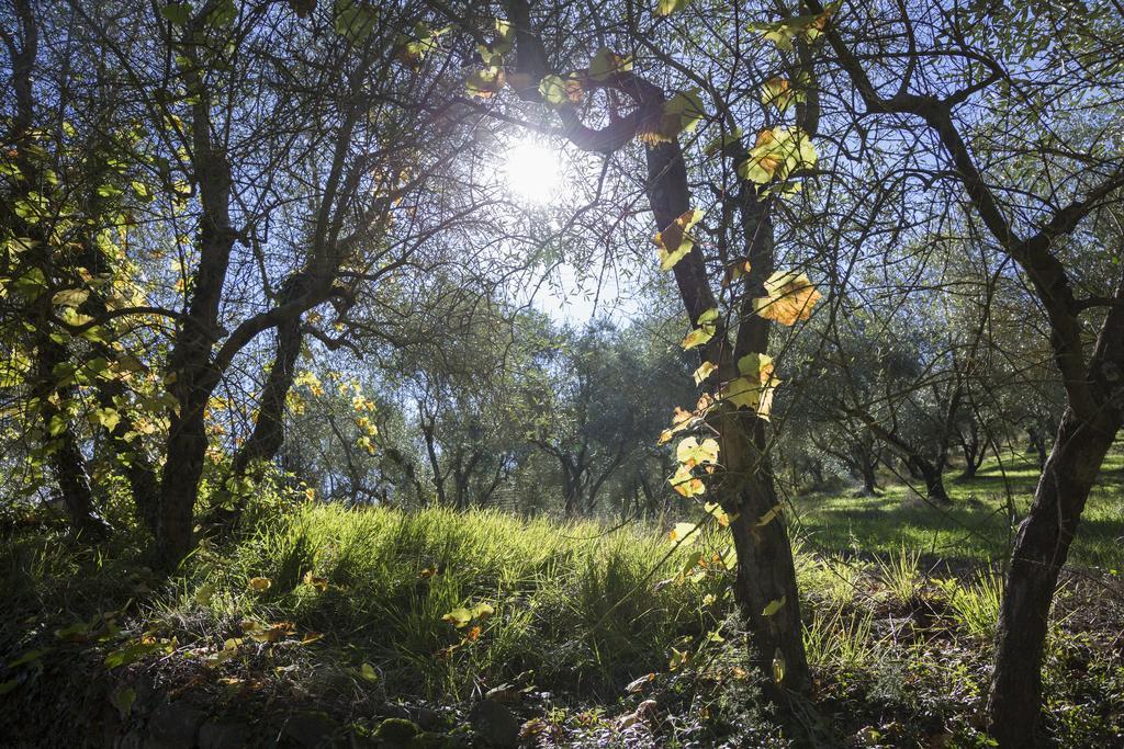 Fattoria Il Milione Agriturismo Florenţa Exterior foto