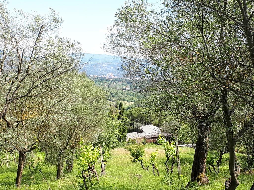 Fattoria Il Milione Agriturismo Florenţa Exterior foto
